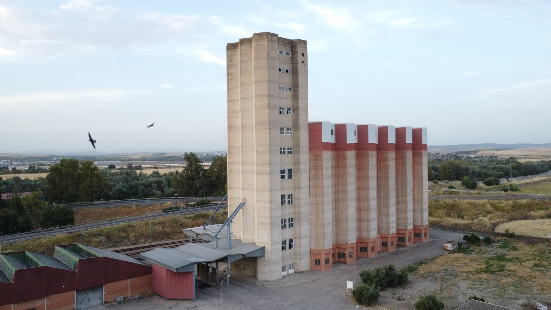 DJI_0533