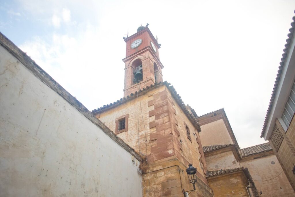 elcarpio-23