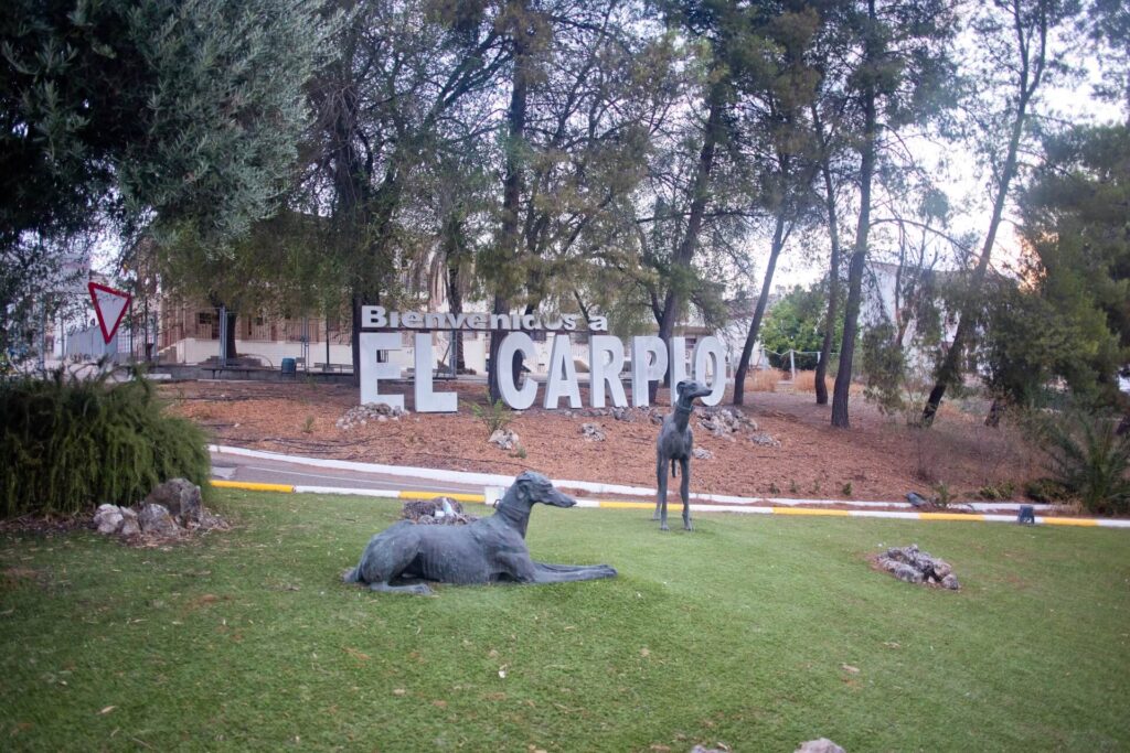 elcarpio-43