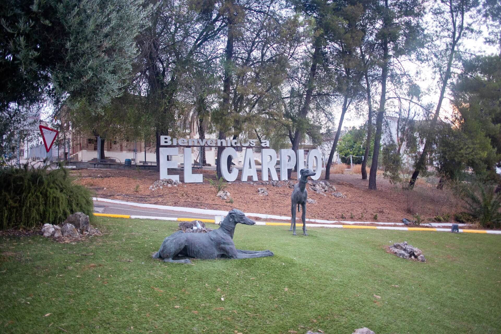 elcarpio-43