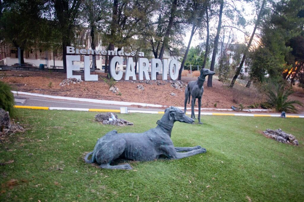 elcarpio-44