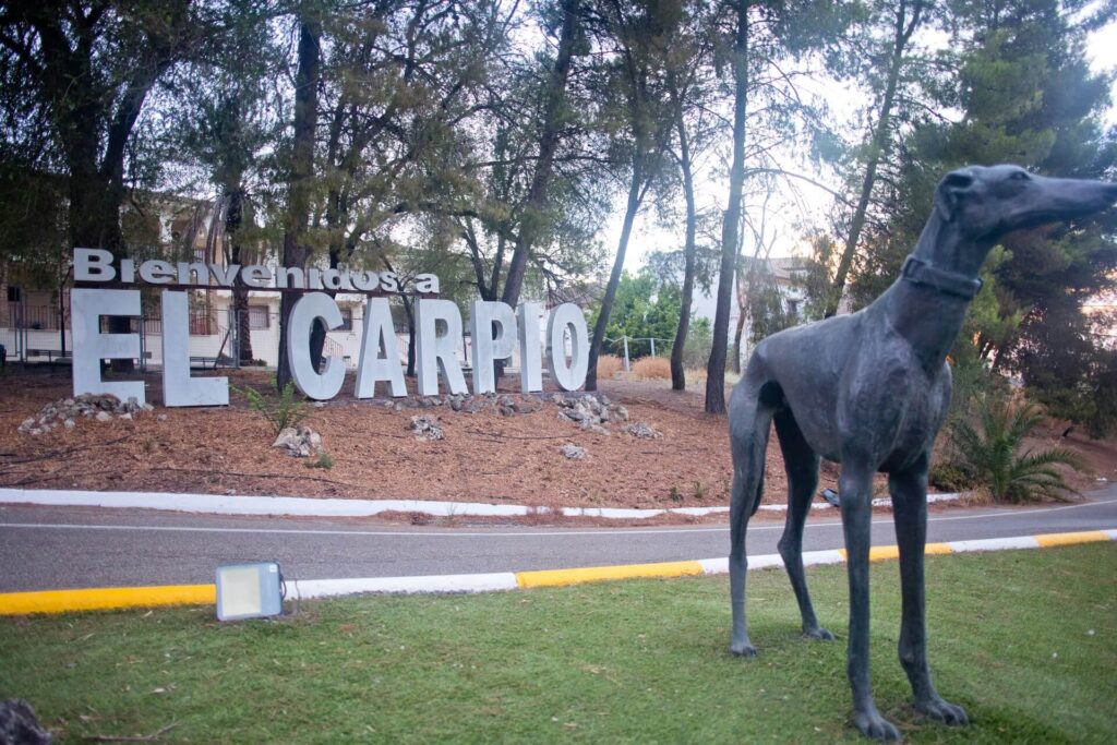 elcarpio-45