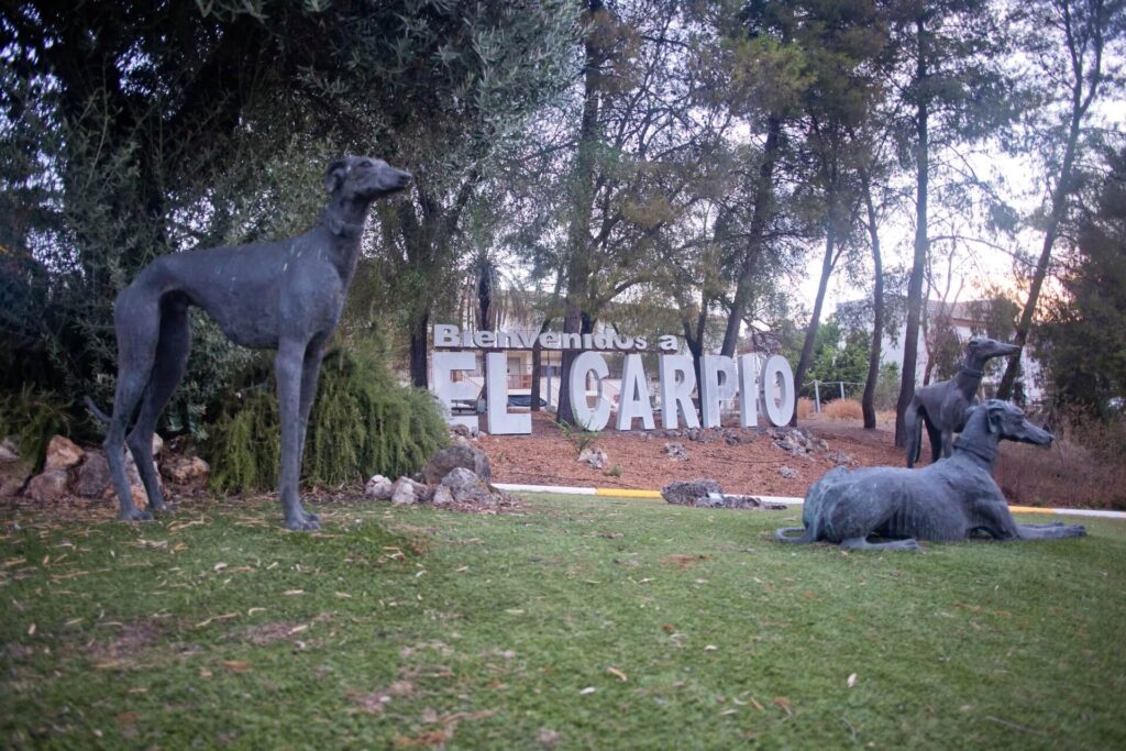 elcarpio-46