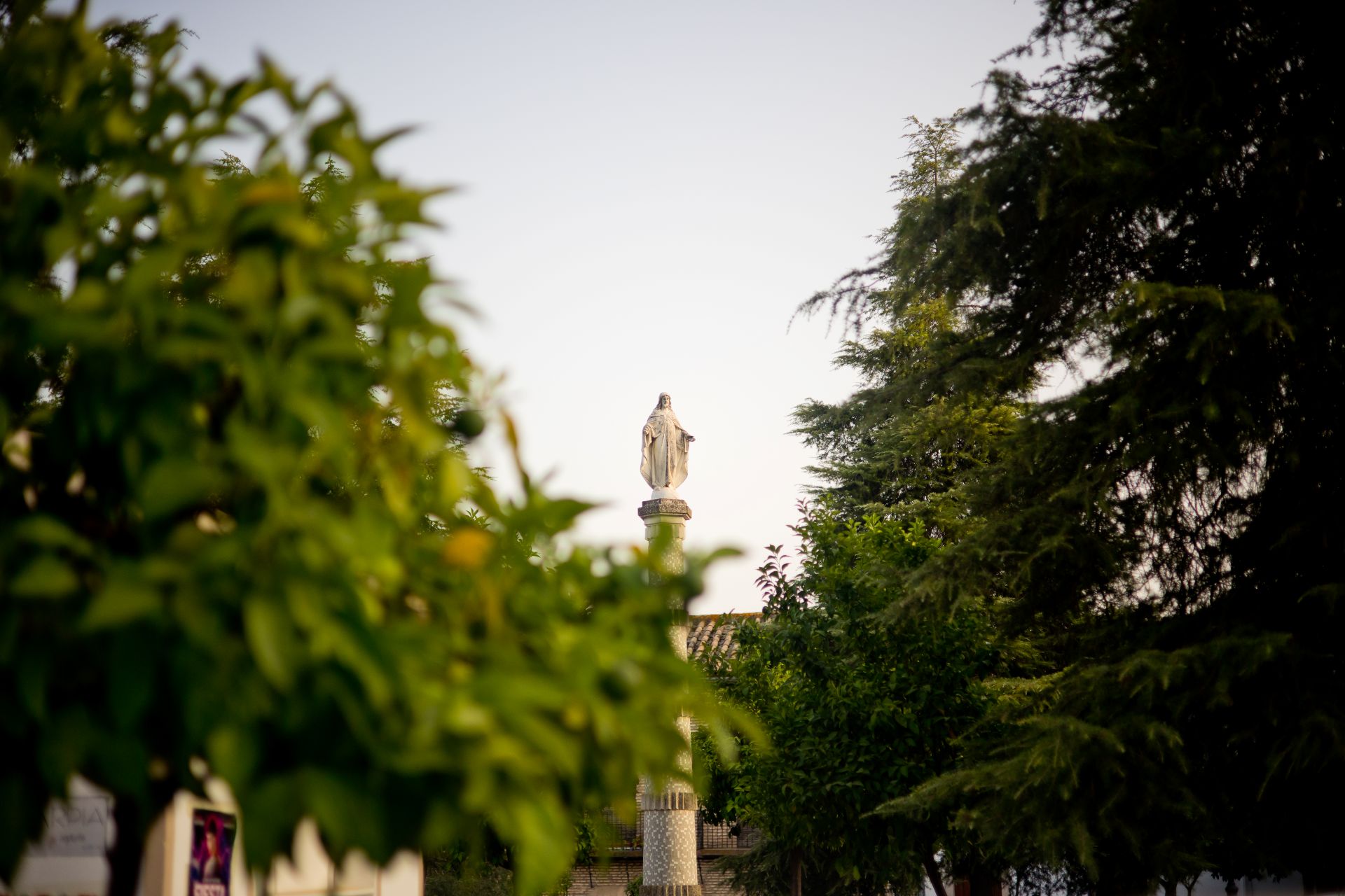 sagrado corazon