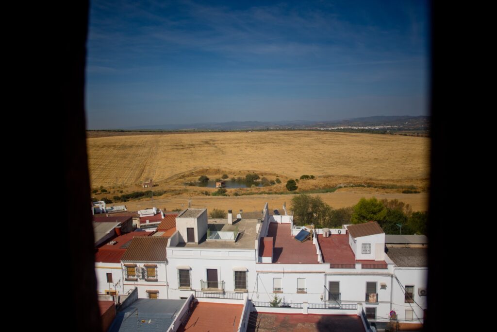 torregarcimendez-19