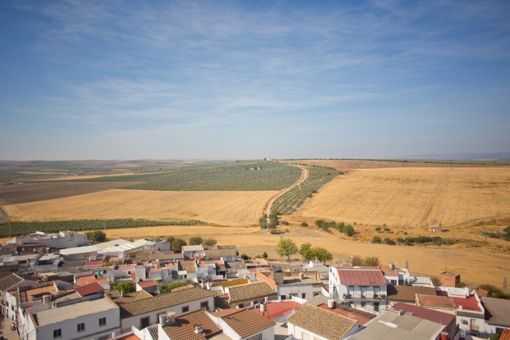 torregarcimendez-29