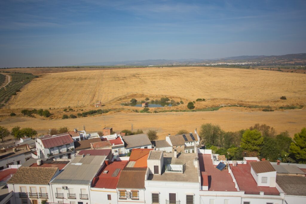 torregarcimendez-30